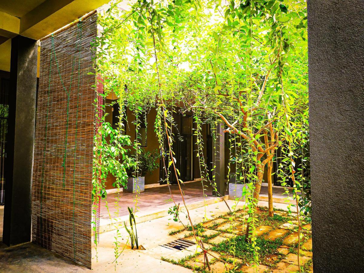 Isi Arana Eco Villa Anuradhápura Exteriér fotografie