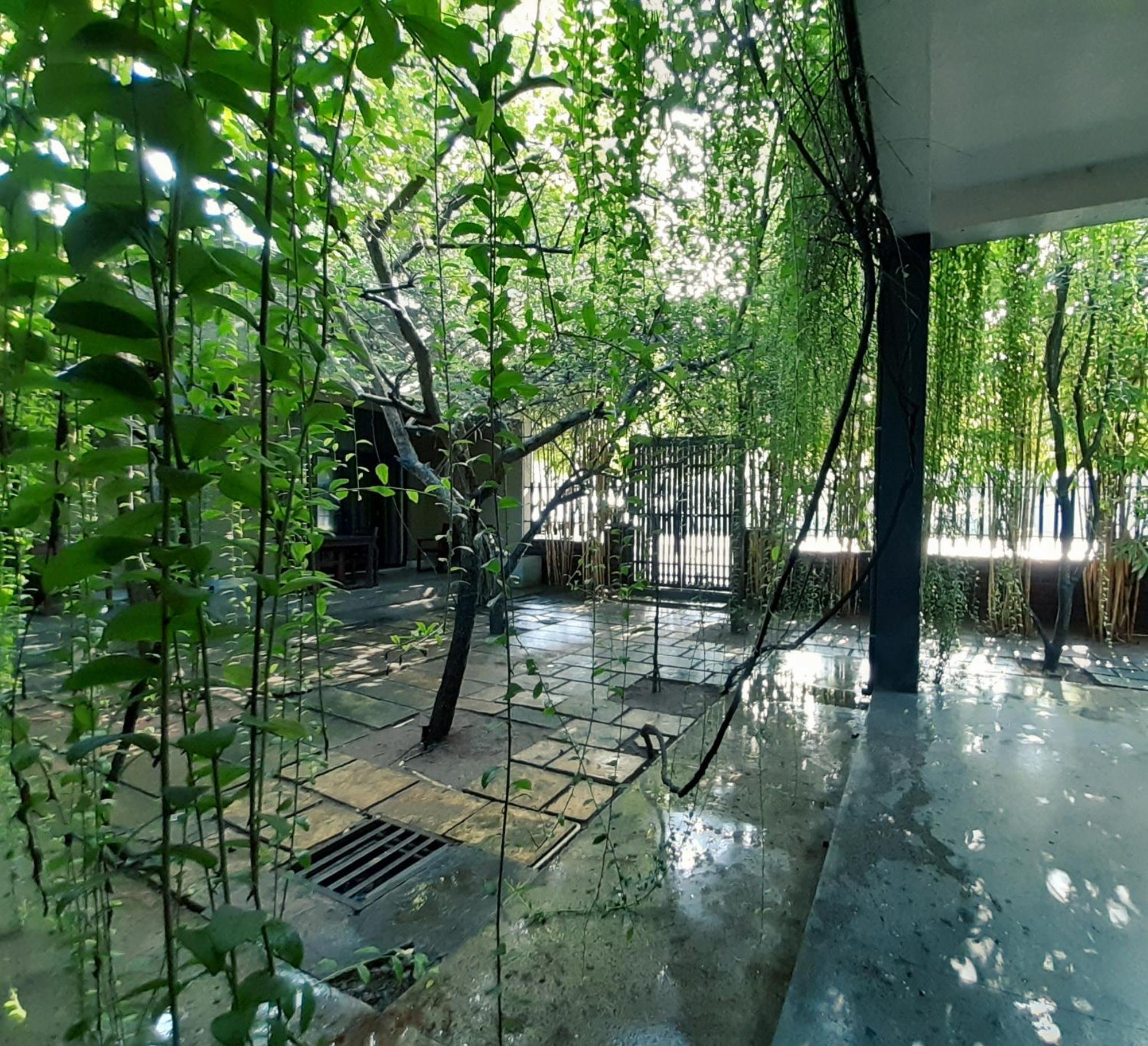 Isi Arana Eco Villa Anuradhápura Exteriér fotografie